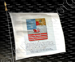 drapeau-BARQUIER_Armorial Nice. (J. Casal, 1902) (Bibl. mun. de Nice)_France (i)+
