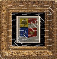 cadre-ancien-or-TEXIER OLIVIER_Noblesse d'Empire._France (1)