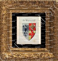 cadre-ancien-or-de MORESTEL _Vidomnes de Genève_Suisse