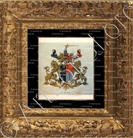 cadre-ancien-or-d'OLNE_Wapenboek van den Nederlandschen Adel door J.B.Rietstap 1883 1887_Nederland