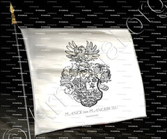 drapeau-PLANCK von PLANCKBURG_Oberösterreich_Österreich (4) copie