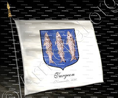 drapeau-TURGEON_Normandie_France (1696)