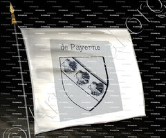 drapeau-de PAYERNE _Vidomnes de Genève_Suisse