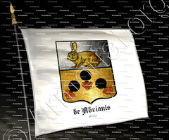 drapeau-de ADRIANIS_Corte (Corse)._France