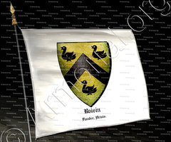 drapeau-ROISIN_de La Tramerie baron de Roisin_France (i)