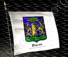 drapeau-PEYRANI_de Revel au 15e s., de Tourette en 1739. Comté de Nice._France