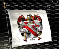 drapeau-LABAYE_Liège_Belgique ()