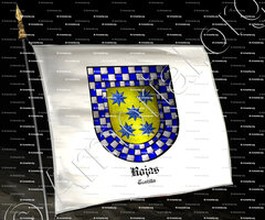 drapeau-ROJAS_Castilla_España (i)