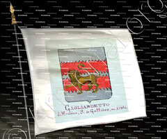 drapeau-GAGLIARDETTO_Armorial Nice. (J. Casal, 1903) (Bibl. mun. de Nice)_France (1)