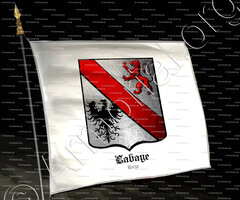 drapeau-LABAYE_Liège_Belgique