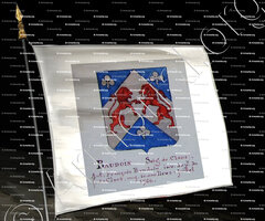 drapeau-BAUDOIN Seigneur de Clans_Armorial Nice. (J. Casal, 1902) (Bibl. mun. de Nice)_France (i)