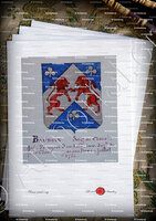 velin-d-Arches-BAUDOIN Seigneur de Clans_Armorial Nice. (J. Casal, 1902) (Bibl. mun. de Nice)_France (i)
