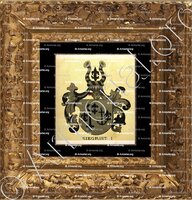 cadre-ancien-or-SIEGRIST_Armorial de la ville de Bâle. B.Meyer Knaus 1880._Schweiz. Suisse.