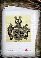 velin-d-Arches-SIEGRIST_Armorial de la ville de Bâle. B.Meyer Knaus 1880._Schweiz. Suisse.