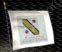 drapeau-GALLEAN-GADAGNE_Armorial Nice. (J. Casal, 1903) (Bibl. mun. de Nice)_France (1)