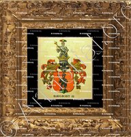 cadre-ancien-or-SIEGRIST - Armorial de la ville de Bâle. B.Meyer Knaus 1880 - Schweiz. Suisse. Svizzera. (ii)