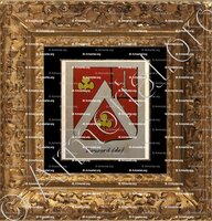 cadre-ancien-or-TOUSARD (DE)_Noblesse d'Empire._France