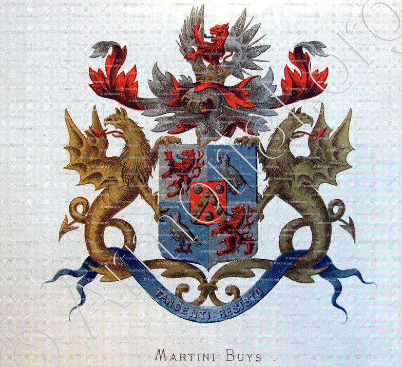 MARTINI BUYS_Wapenboek van den Nederlandschen Adel door J.B.Rietstap 1883 1887_Nederland