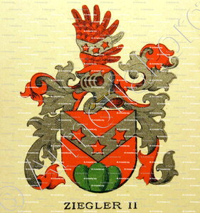 ZIEGLER
