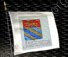 drapeau-GALLEANI_Armorial Nice. (J. Casal, 1903) (Bibl. mun. de Nice)_France (1)