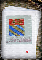 velin-d-Arches-GALLEANI_Armorial Nice. (J. Casal, 1903) (Bibl. mun. de Nice)_France (1)