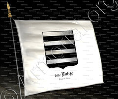 drapeau-FALIZE (delle)_Pays de Liège._Belgique (2)