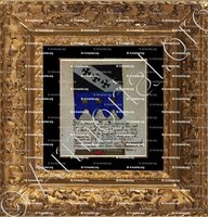 cadre-ancien-or-BELMONDI ou BERMONDI_Armorial Nice. (J. Casal, 1902) (Bibl. mun. de Nice)_France (i)