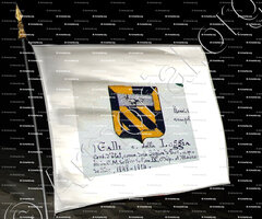 drapeau-GALLI (della Loggia)_Armorial Nice. (J. Casal, 1903) (Bibl. mun. de Nice)_France (1)