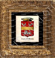cadre-ancien-or-BAUDENET d'ANNOUX_Comtes d'Annoux_France ()