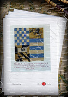velin-d-Arches-GALLI Comtes de La LOGGIA_Armorial Nice. (J. Casal, 1903) (Bibl. mun. de Nice)_France (1808 1814) (1)