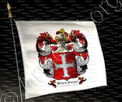 drapeau-WATINE de ZOMERGEM_Christian Watine de Zomergem_France copie