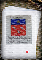 velin-d-Arches-BERAUDO di PRALORMO_Armorial Nice. (J. Casal, 1902) (Bibl. mun. de Nice)_France (i)