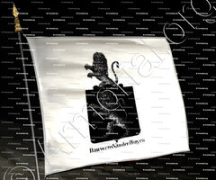 drapeau-BAUWENS VAN DER BOYEN_Armorial royal des Pays-Bas_Nederland
