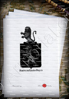 velin-d-Arches-BAUWENS VAN DER BOYEN_Armorial royal des Pays-Bas_Nederland