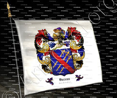 drapeau-BAREAU_Paris, Île-de-France_France (0)