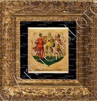 cadre-ancien-or-zu den EIDGENOSSE_Wappenbuch der Stadt Basel . B.Meyer Knaus 1880_Schweiz 