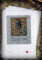 velin-d-Arches-BERTRAND de Châteauneuf, la Roquette_Armorial Nice. (J. Casal, 1902) (Bibl. mun. de Nice)_France (i)