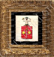 cadre-ancien-or-BERNARD_Armorial royal des Pays-Bas_Nederland