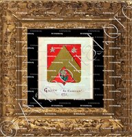 cadre-ancien-or-GARRIN conte di Cocconato)_Armorial Nice. (J. Casal, 1903) (Bibl. mun. de Nice)_France (1)
