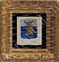 cadre-ancien-or-BICHI de Belvedere_Armorial Nice. (J. Casal, 1902) (Bibl. mun. de Nice)_France (i)