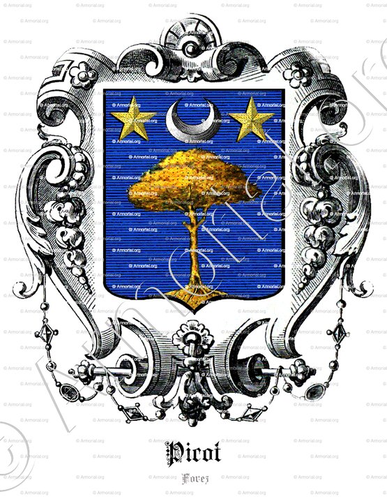 PICOT_Forez_France (1)