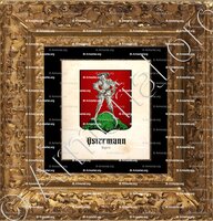 cadre-ancien-or-OSTERMANN_Erding. Bayern._Deutschland (2)