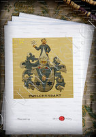 velin-d-Arches-ZWILCHENBART_Wappenbuch der Stadt Basel . B.Meyer Knaus 1880_Schweiz 