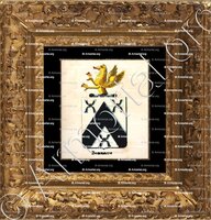 cadre-ancien-or-BOMMAERE_Armorial royal des Pays-Bas_Nederland