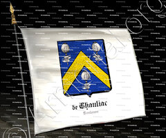 drapeau-de CHAULIAC_Toulouse_France (2)
