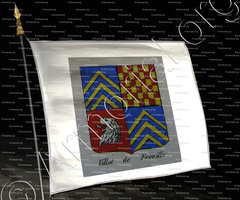 drapeau-VILLOT DE FREVILLE_Noblesse d'Empire._France