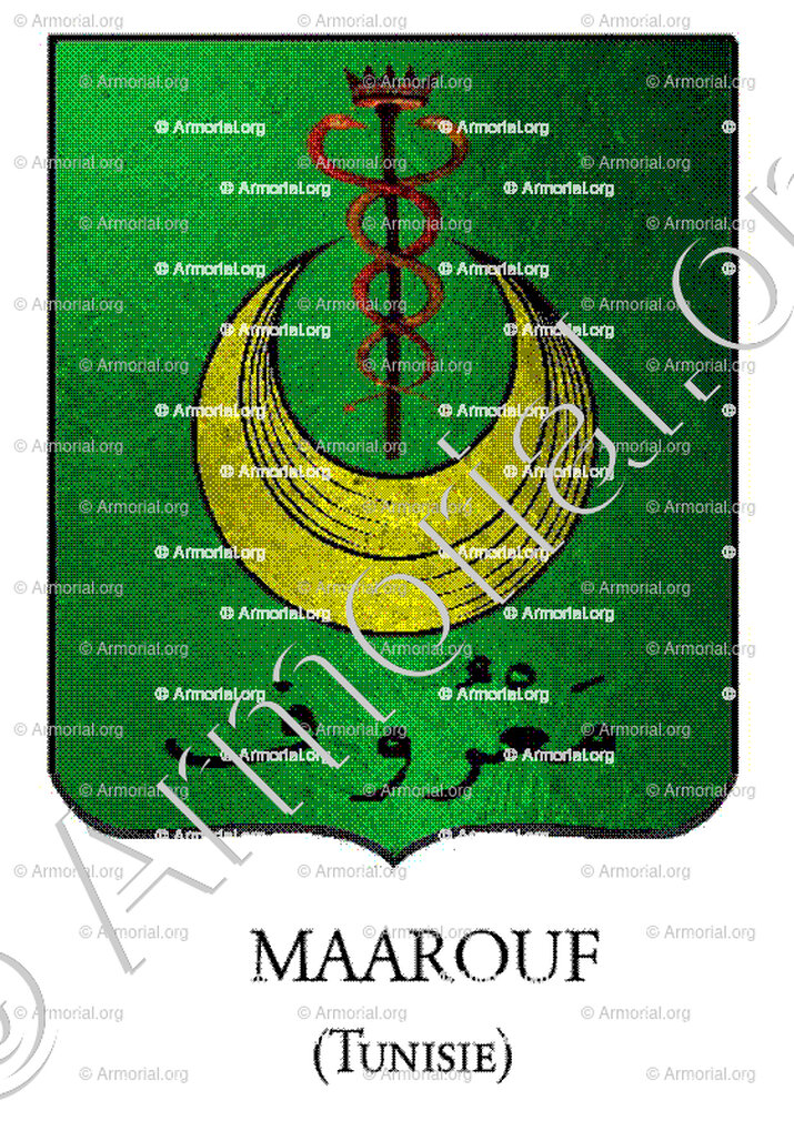 MAAROUF_Tunisie_Arabes (i)