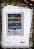 velin-d-Arches-BONNET d'Aiglun_Armorial Nice. (J. Casal, 1902) (Bibl. mun. de Nice)_France (i)