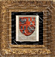 cadre-ancien-or-LOURDIN de SALIGNY_Seigneurs de Saligny, dits Lourdin. Bourbonnais._France