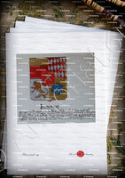 velin-d-Arches-BONSON_Armorial Nice. (J. Casal, 1902) (Bibl. mun. de Nice)_France (i)